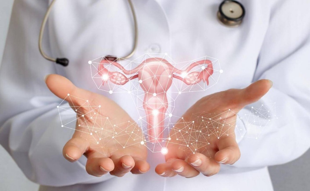 Gynécologie & Chirurgie Pelvienne